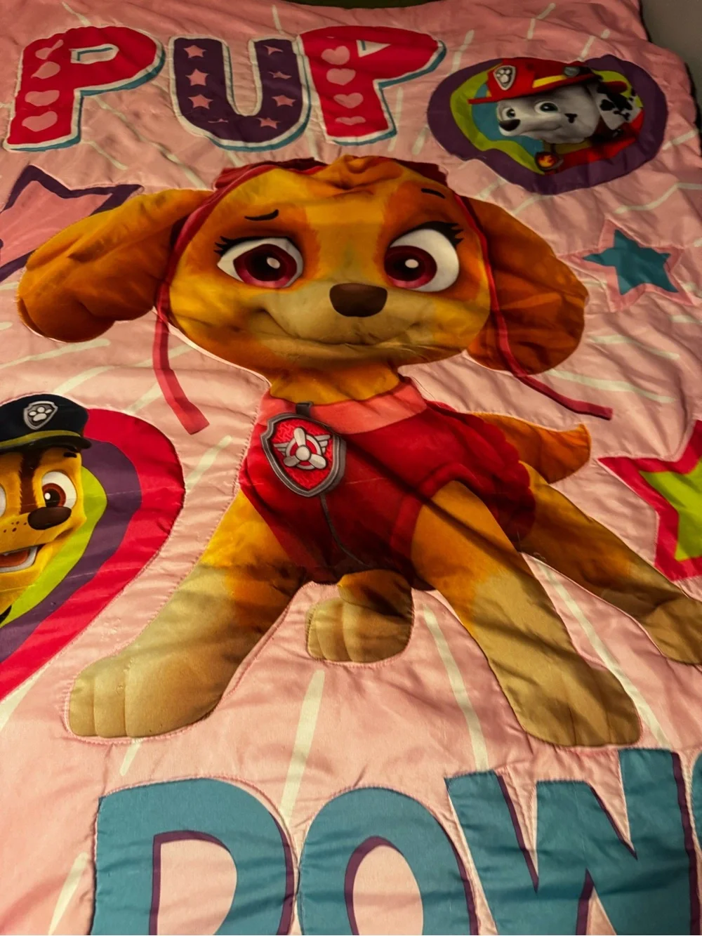 Paw Patrol Toddler Bed Blanket Only “Pup Power”  Pink Graphic Design Lightweight
